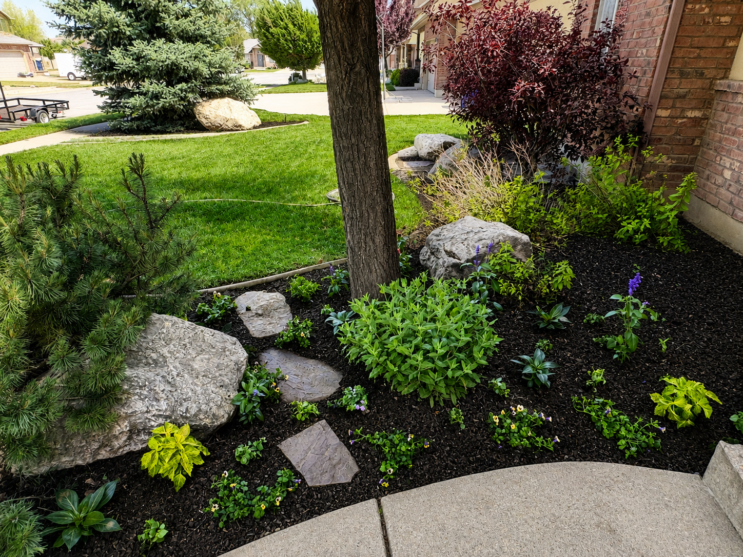 Petal Pop flower bed