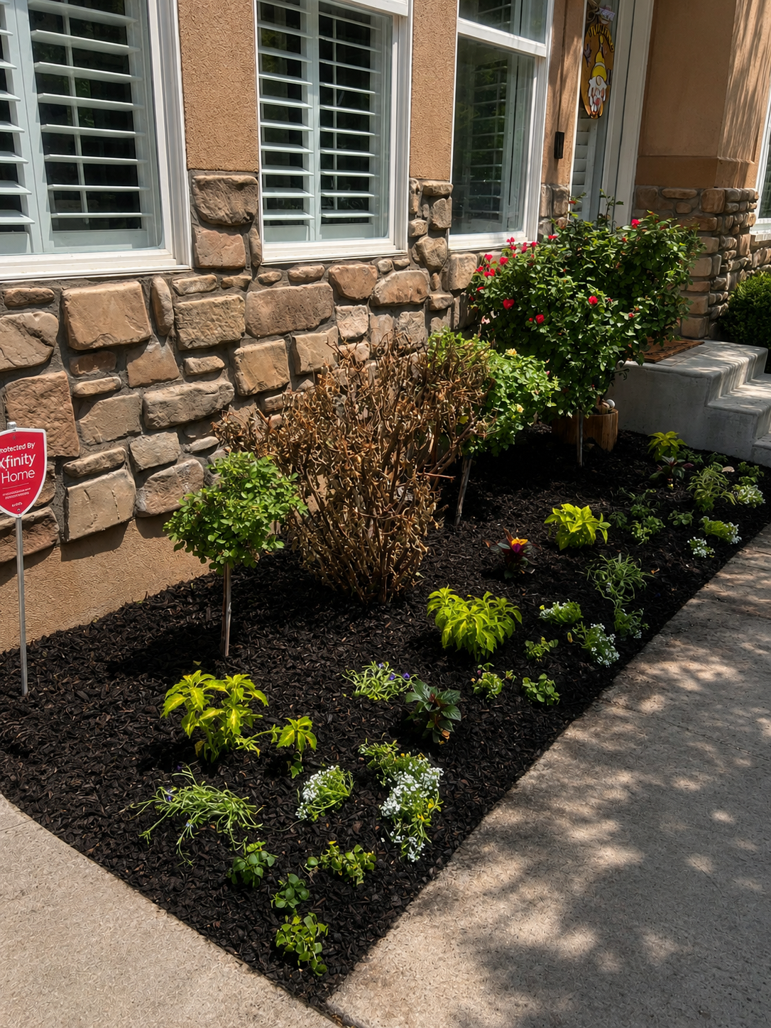 Petal Pop flower bed