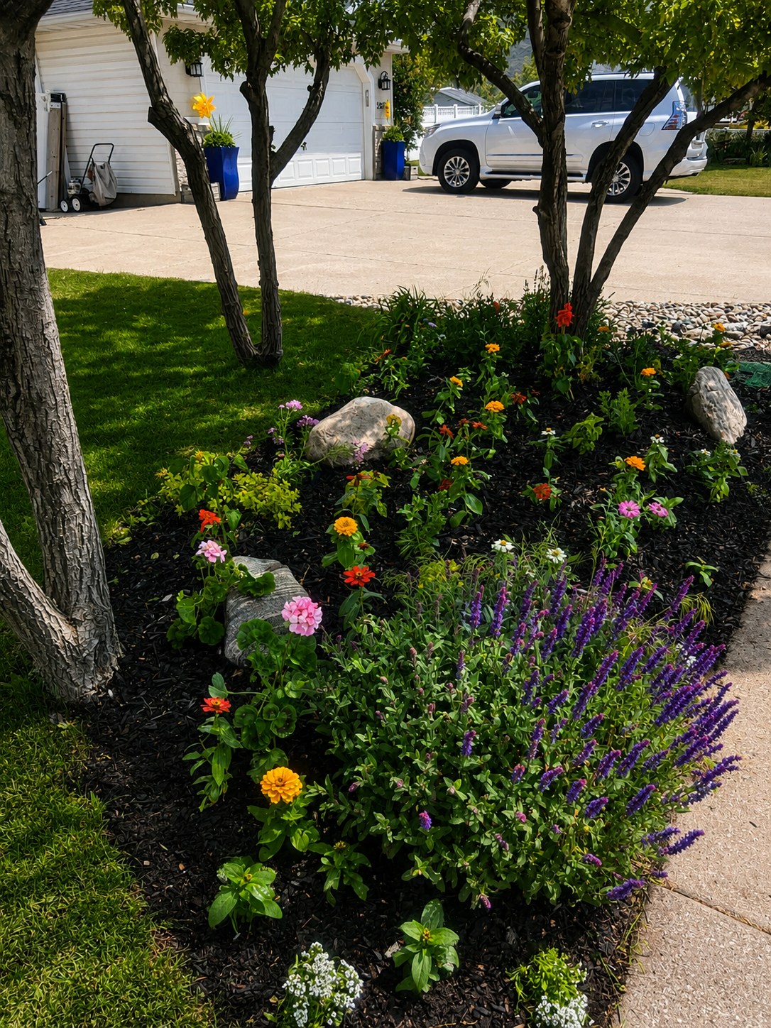 Petal Pop flower bed