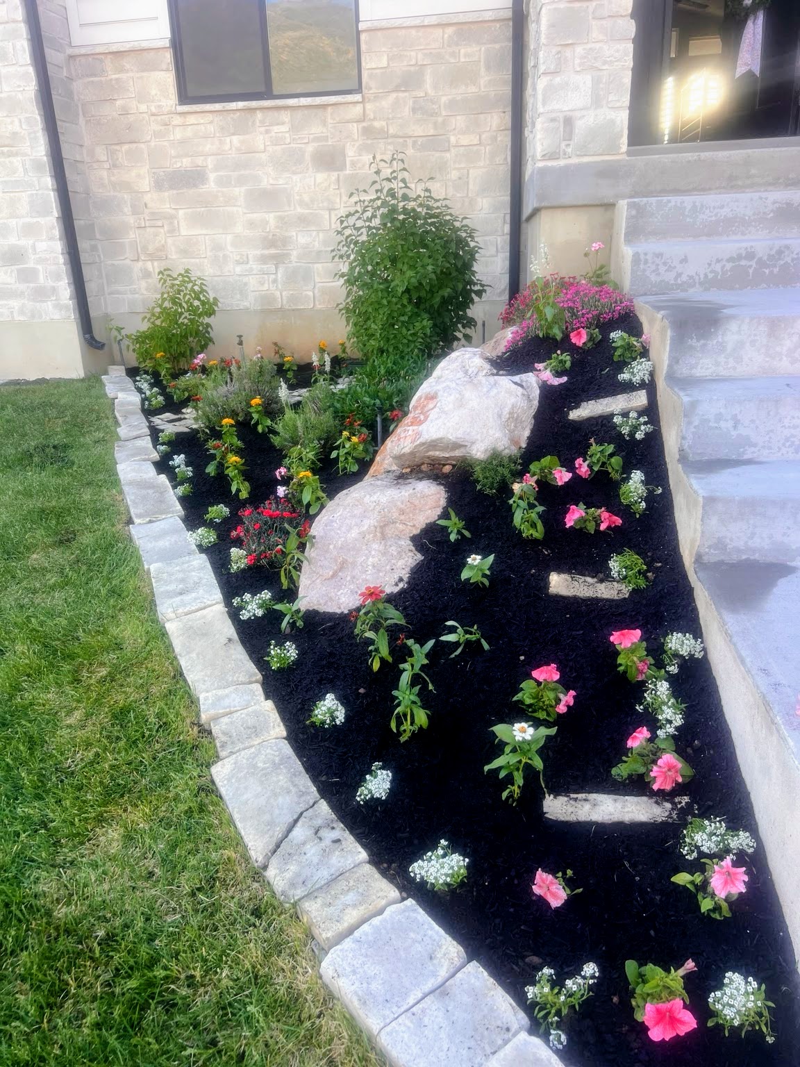 Petal Pop flower bed