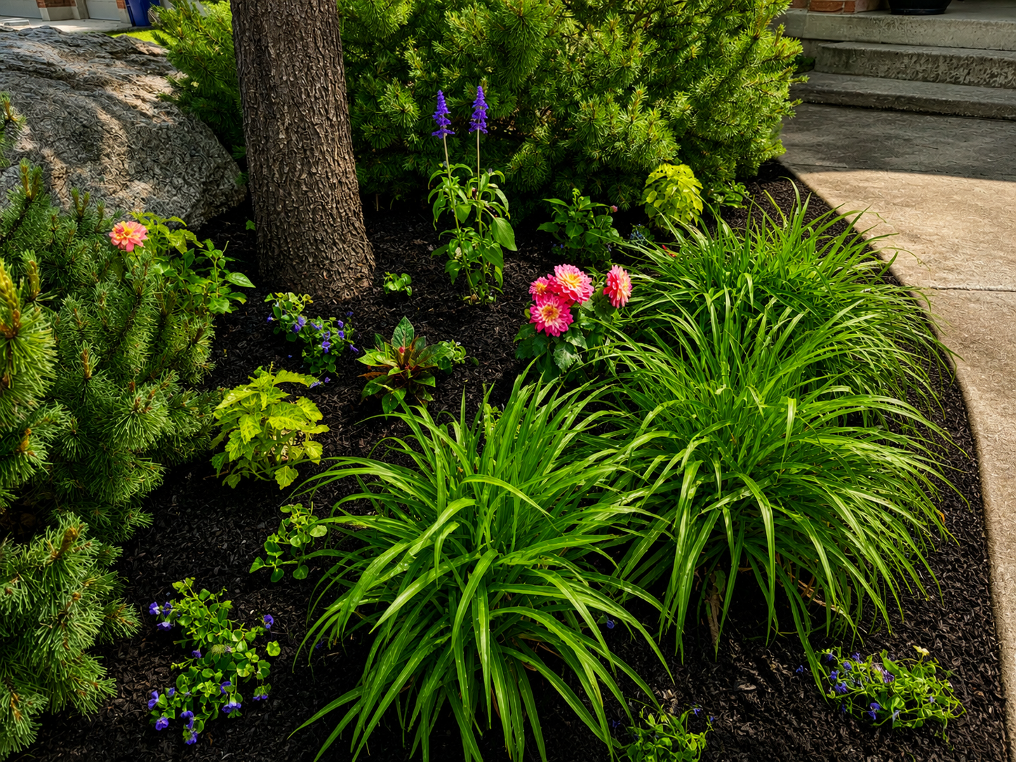 Petal Pop flower bed