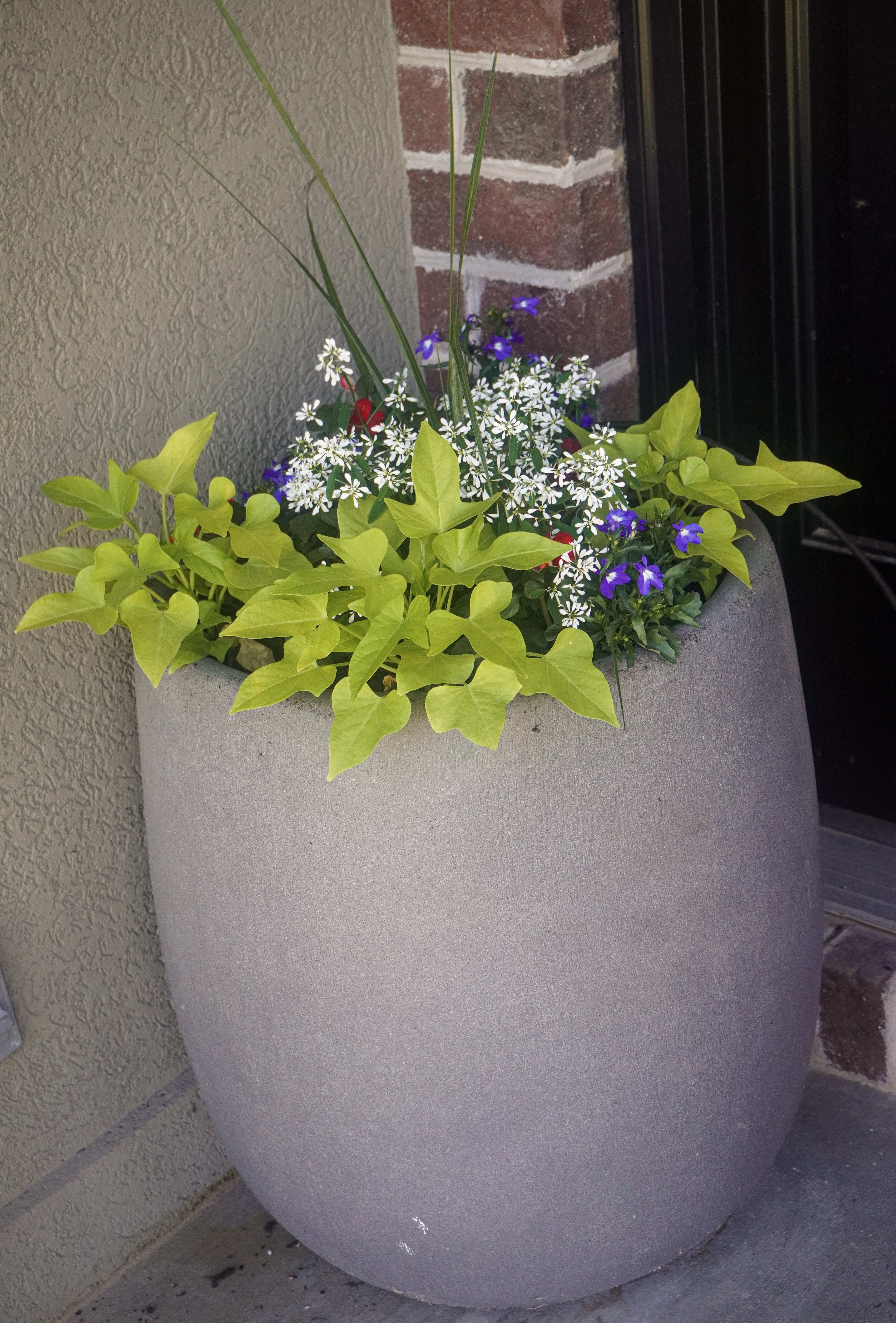 Petal Pop landscape design