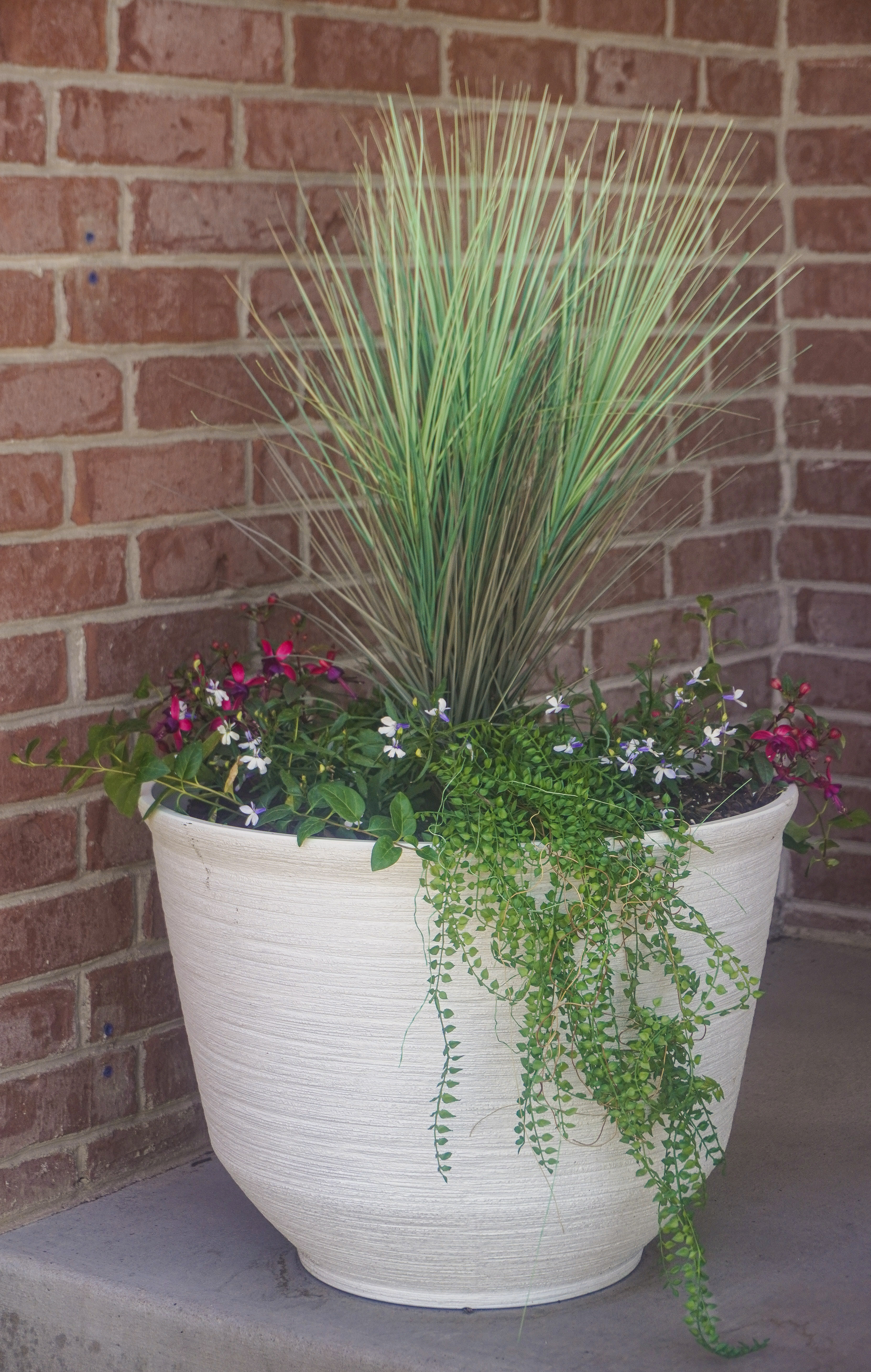 Petal Pop curb appeal