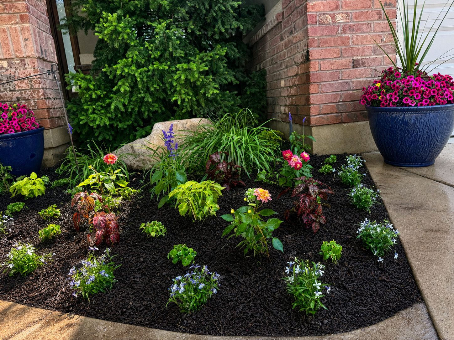 Petal Pop flower bed