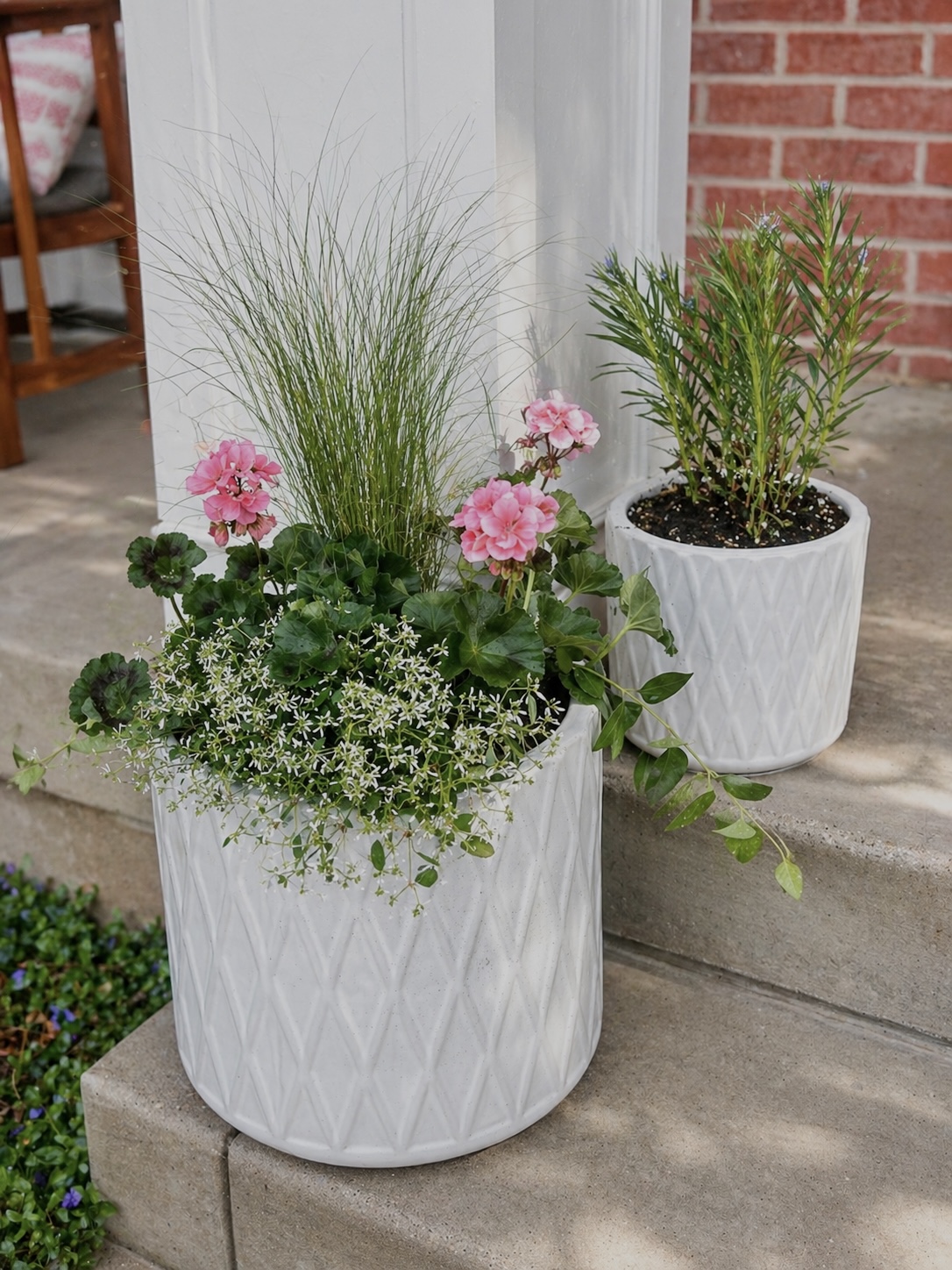 Mini Pop flower bed package
