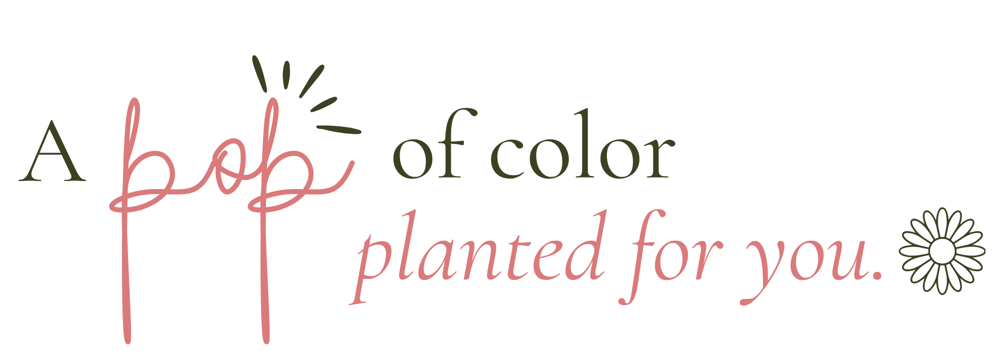 A pop of color planted for you