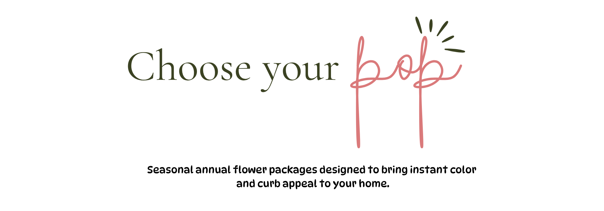 Petal Pop packages preview